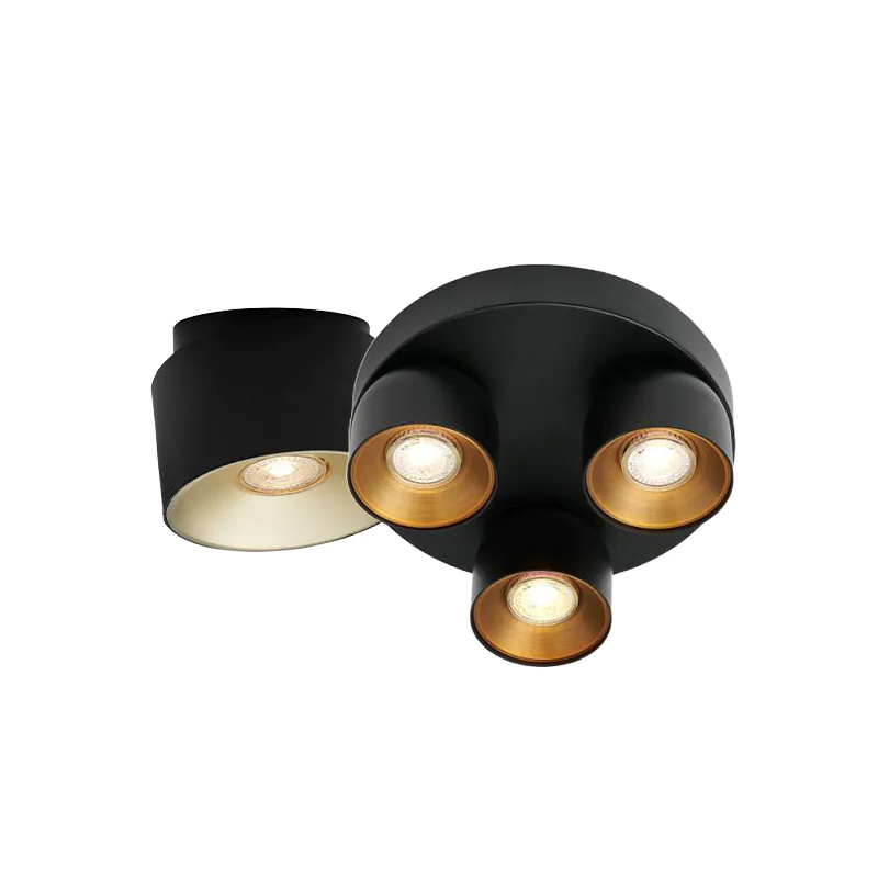 Spot de plafond noir