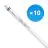 Lot 10x Philips Tube LED T5 MASTER (HF) High Efficiency 16.5W 2500lm - 865 Lumière du Jour | 115cm - Équivalent 28W