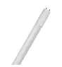 Ledvance Tube LED T8 Superior (EM/Direct 230V) Ultra Output 22.1W 4100lm - 840 Blanc Froid | 150cm - Équivalent 58W - Plafond Haut