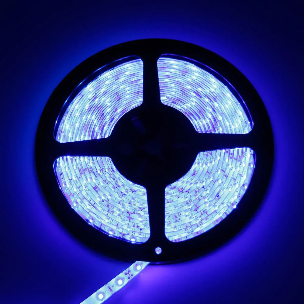 Ruban LED 5M 24W Bleu