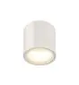 SLV Oculus Plafondlamp Aluminium Wit 11W 780lm 100D - 920-930 Dim To Warm | Beste Kleurweergave - Dimbaar 