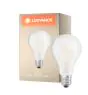 Ledvance Classic LED E27 Peer Filament Mat 24W 3452lm - 827 Zeer Warm Wit | Vervangt 200W