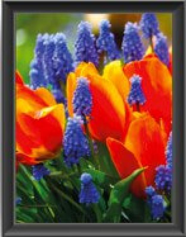 Waar moet je op letten bij het kiezen van LED verlichting?